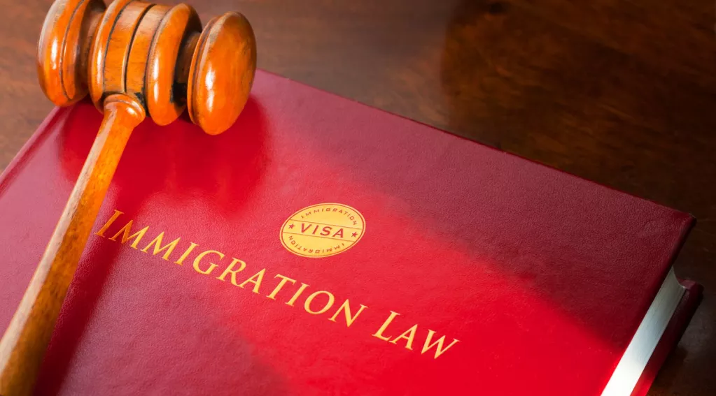gavel immigration law