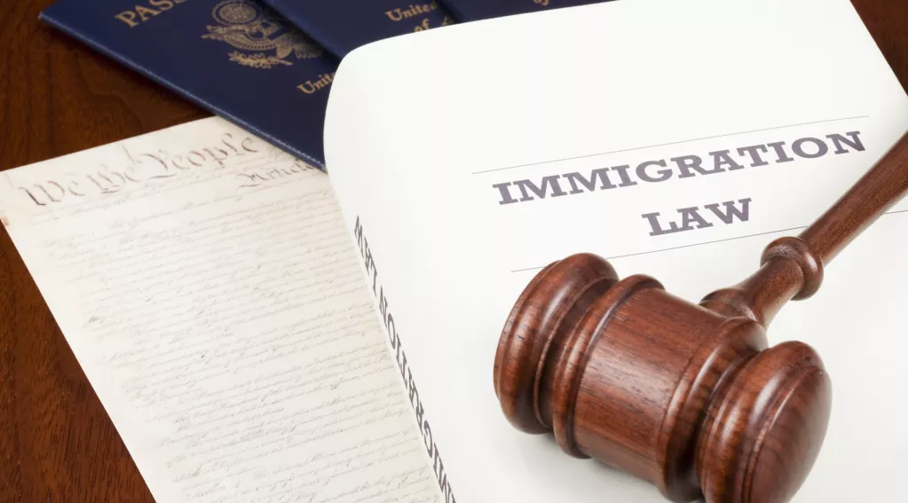 Immigration Reform Law