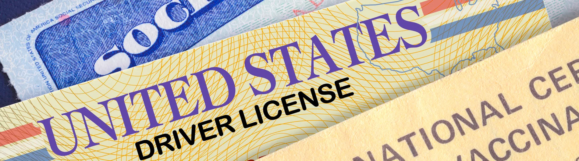 driver's license drivers passport,