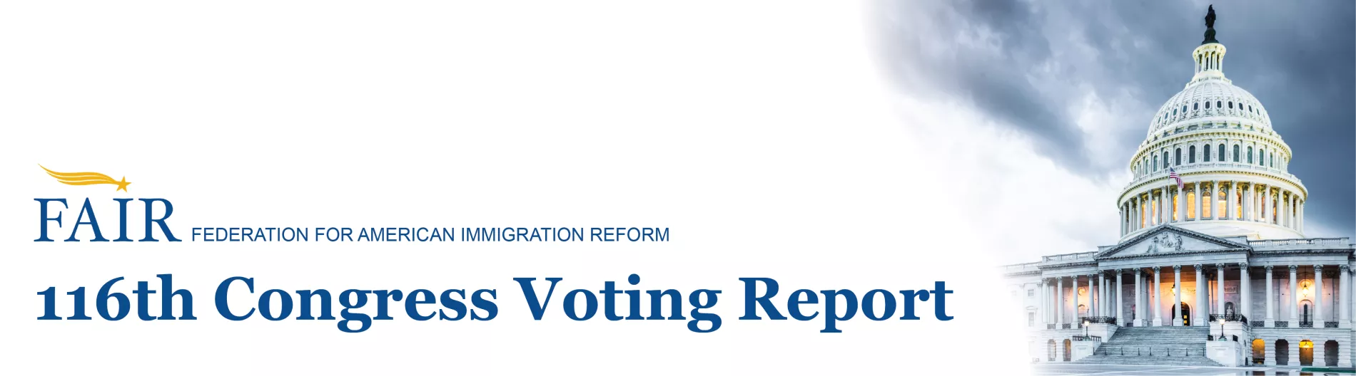 Voting Report header image