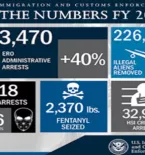 DHS 2017 statistics