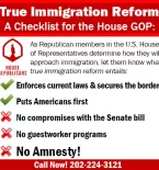 True Immigration Reform Checklist