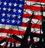 U.S. flag guns domestic terror