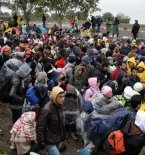 Syrian Refugees Crowd 2
