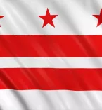Washington DC State Flag