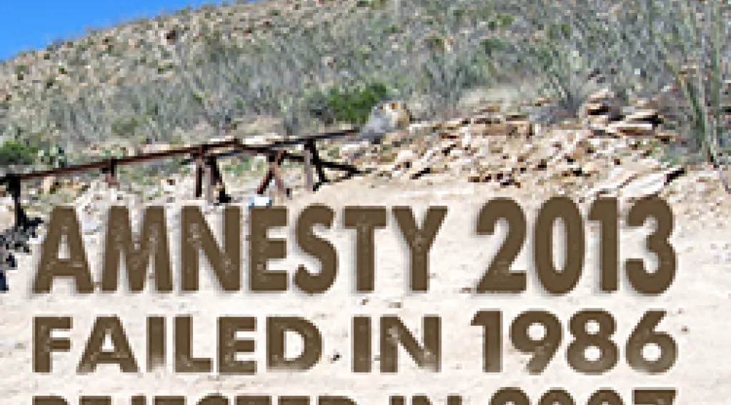 Amnesty 2013