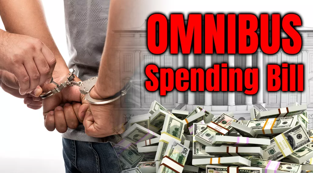 Criminal Alien Being Released, Pile of Money, "Omnibus Spending Bill" as text, government building in background