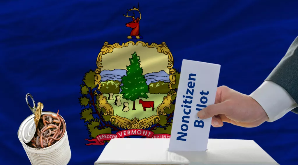can of worms, noncitizen ballot voting, vermont state flag