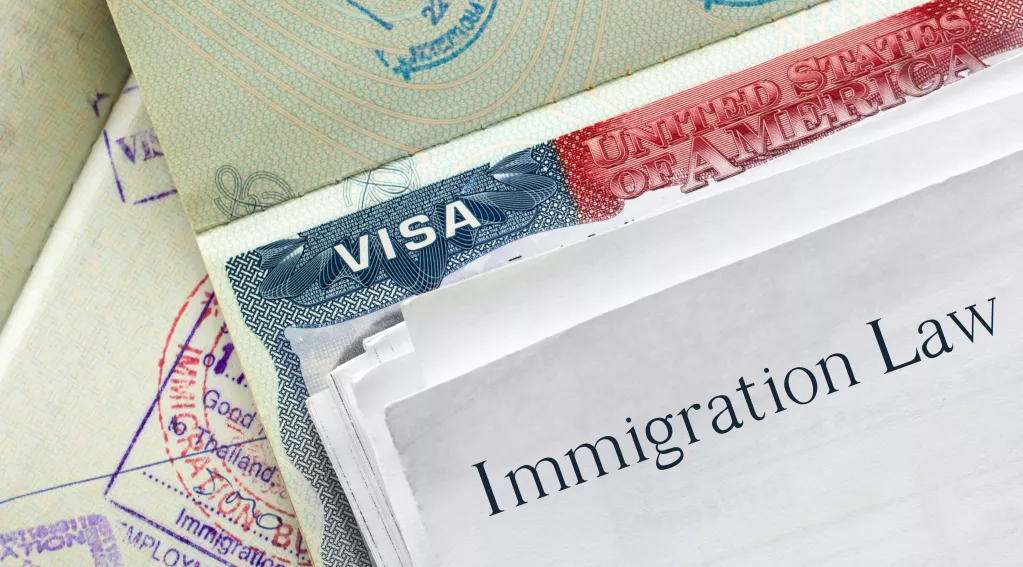 Immigration Law Documents
