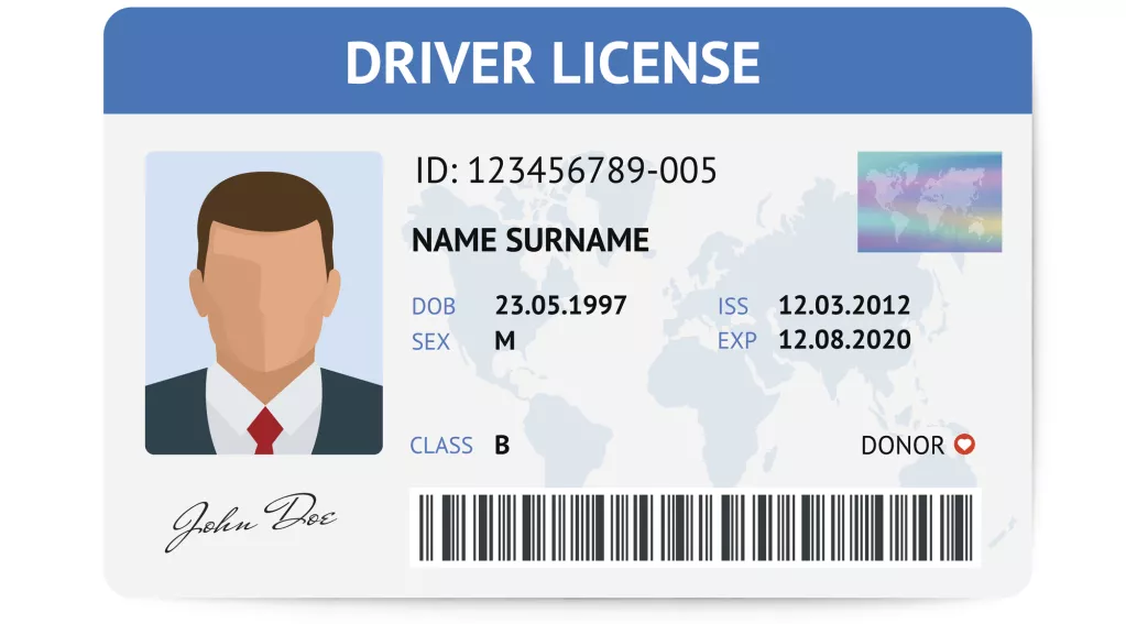 Drivers License Stock Image