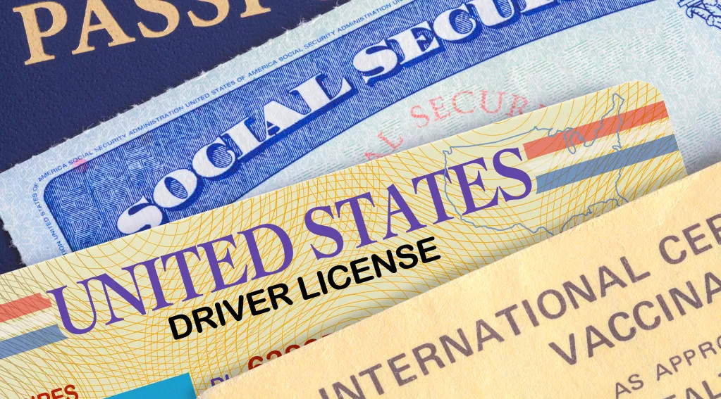 driver's license drivers passport,