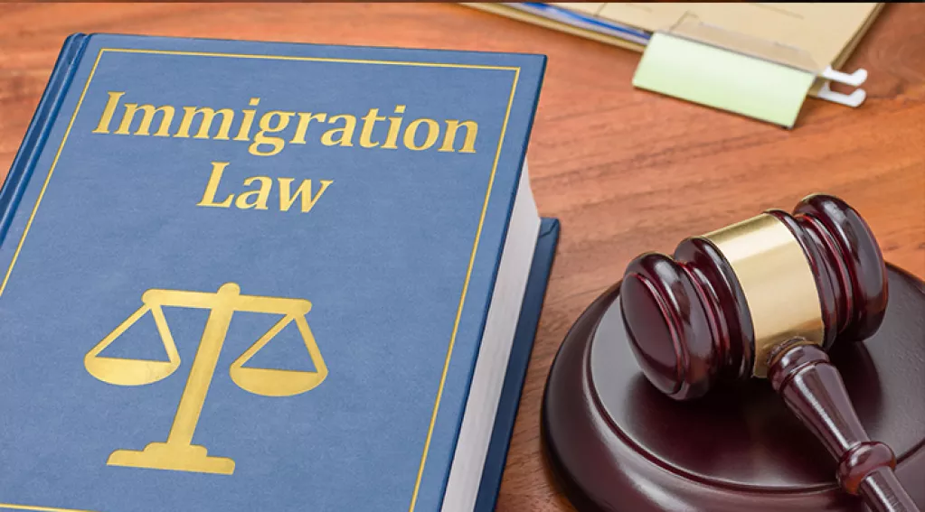 Immigration law book with gavel rotator 5