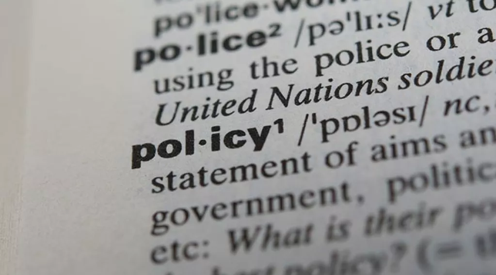 Policy In Dictionary