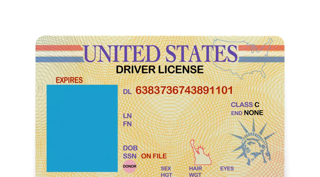 United States drivers license