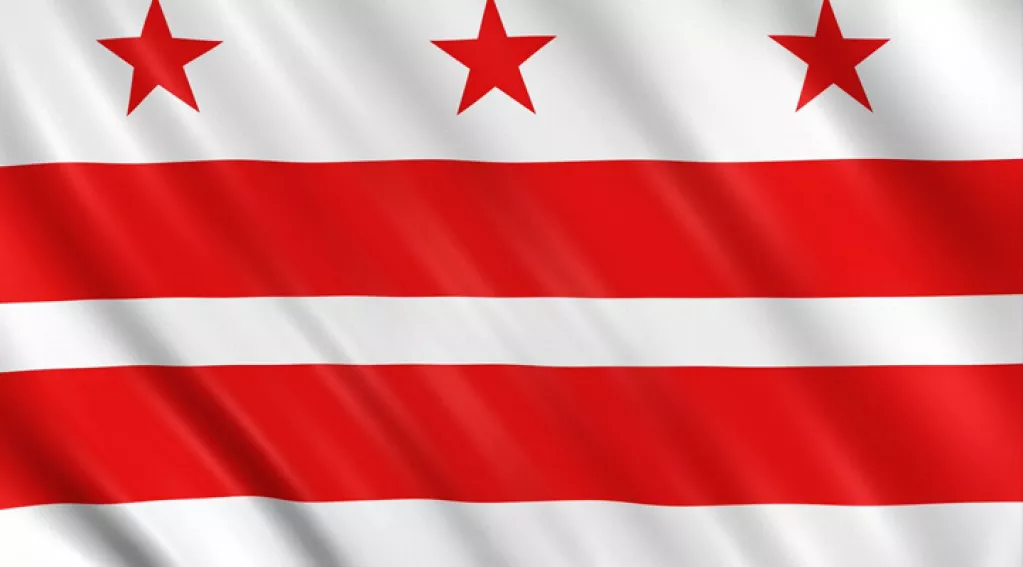Washington DC State Flag